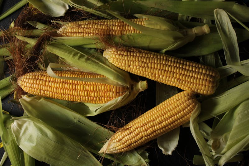 Corn on the Cob with butter and seasoning